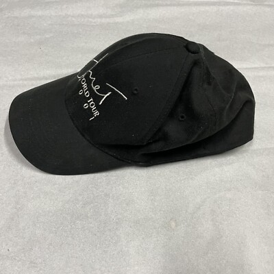 Rare Vintage 2001 Janet Jackson World Tour Flex Fit Hat L XL  display picture 1
