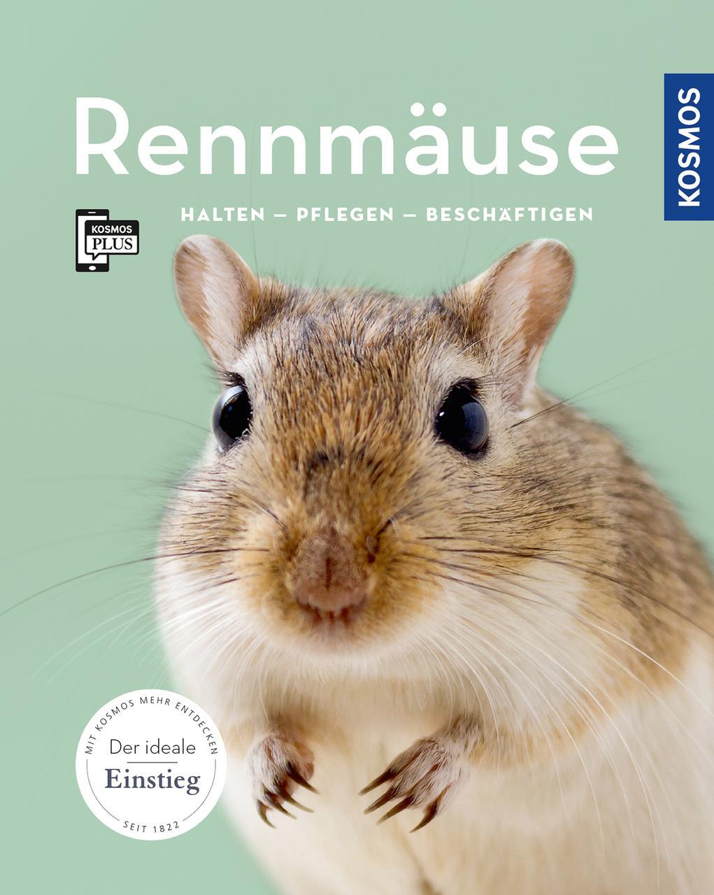 Thumbnail - Rennmäuse Anja Steinkamp
