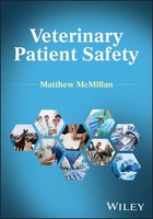 Veterinary Patient Safety | Matthew Mcmillan | Buch | Einband - Fest (Hardcover)