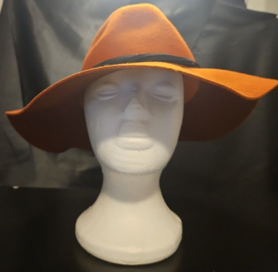 American Eagle Outfitters Wool 100% -Hat Fedora Wide Brim O  display picture 2