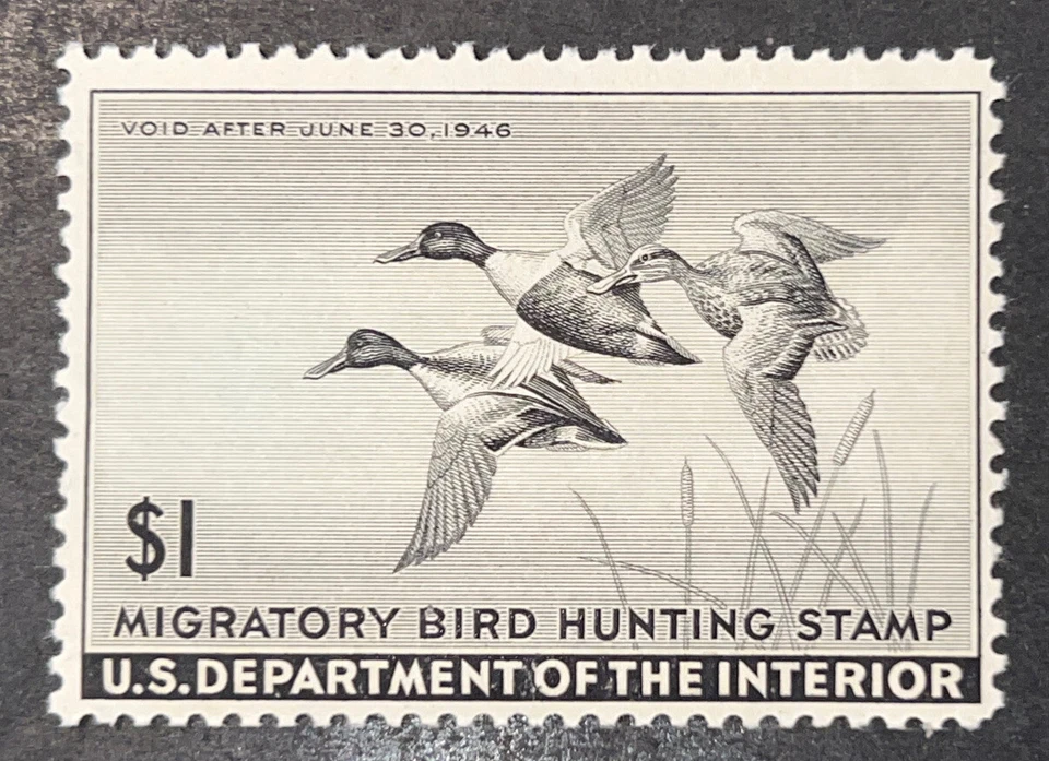 Travelstamps: 1945 US stamps Scott #RW12 Mint Original Gum Never Hinged - Imagem 2 de 4