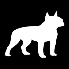 Boston Terrier Dog Silhouette Decal Sticker White Die Cut Vinyl