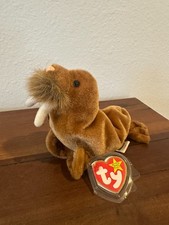 TY Beanie Baby - PAUL the Walrus 7 inch - MWMT's Stuffed Animal Toy