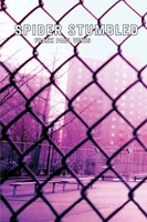 Frank Paul Venis | Spider Stumbled | Taschenbuch | Englisch (2001) | iUniverse
