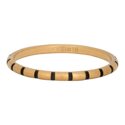 iXXXi Füllring STRIPES gold / schwarz - 2 mm