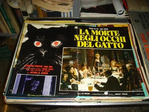 The-Morte-Negli-Occhi-Del-Cat-Fotobusta-Original-1973-Margheriti