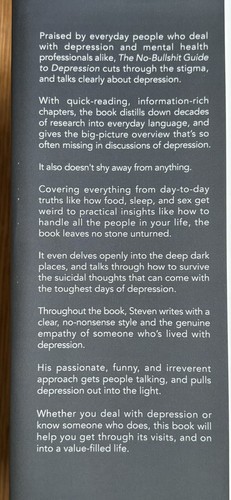 The No-Bullshit Guide to Depression. Steven Skoczen. Hardcover with dustwrapper. - Picture 4 of 4