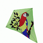 Spirit of Air Greater than 150 cm Single Line Kites