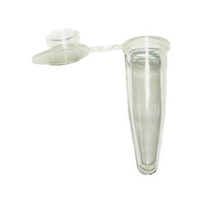 BRAND 0.2 mL PCR Tube Thin Wall Flat Snap Cap Clear PP 50/Pk - LAB LABORATORY