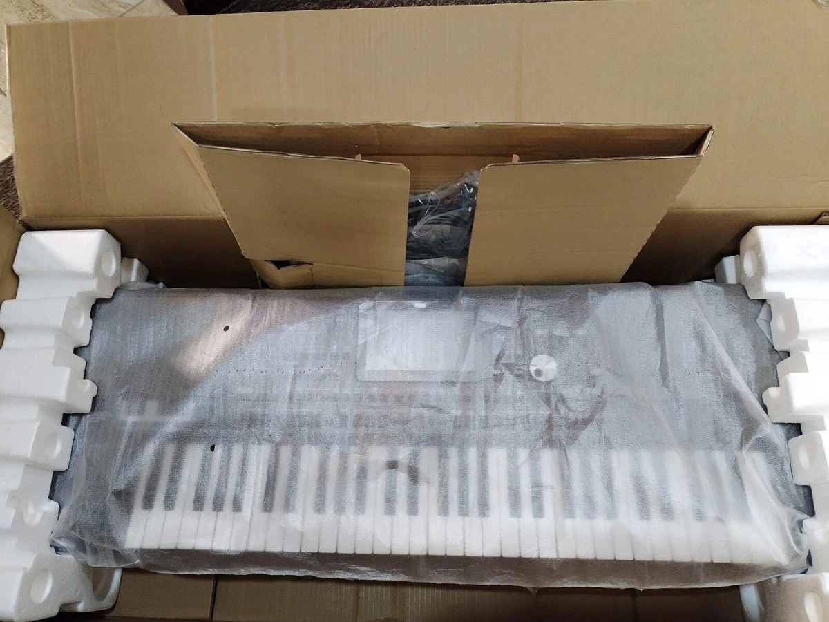 Korg pa700 ebay deals