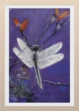 Libelle - Original Gemälde 