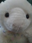 Stuffed Animal Lamb * Easter Theme * Plush Pals * Brand New W/Tag! 12" x 9" — photo 4