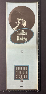 BLOW MONKEYS - DIGGING YOUR SCENE 15X6'' 1986 Press Advert Poster L285