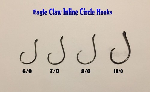 5 Carolina ( Circle ) Surf Bottom Rigs Striped Bass Striper Drum Catfish - Picture 2 of 7