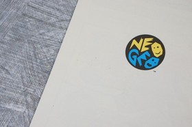 MIRACLE ADVENTURE NEO GEO AES SNK neogeo FREE SHIPPING JAPAN 1401