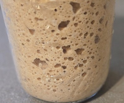 Whole wheat Sourdough Starter Culture   Live Dehydrated Wild Active 