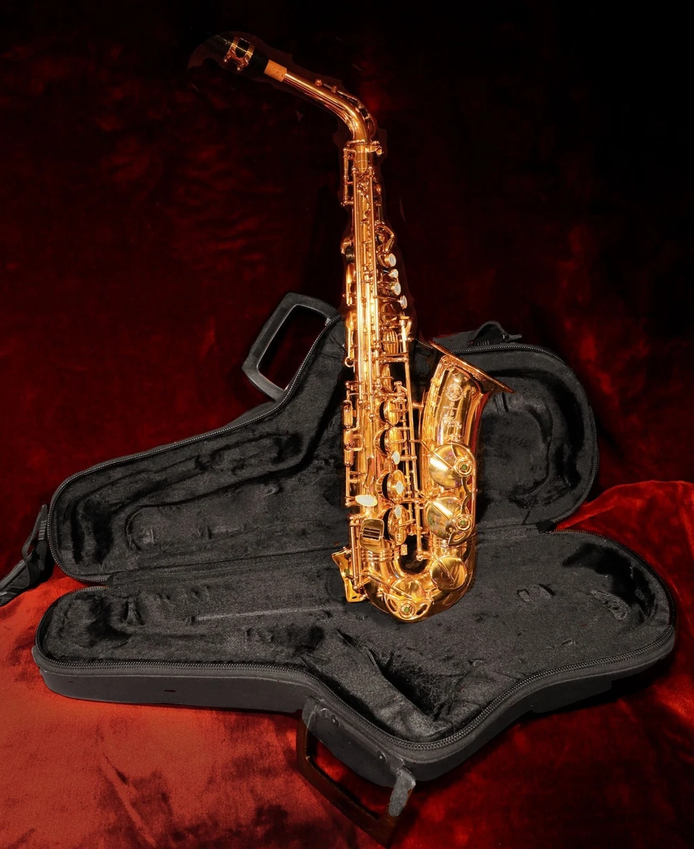 25+ selmer saxophone case for sale | Updated Oct 2026