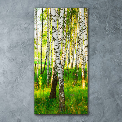 Wandbild Kunst-Druck auf Hart-Glas hochkant 60x120 Birkenwald