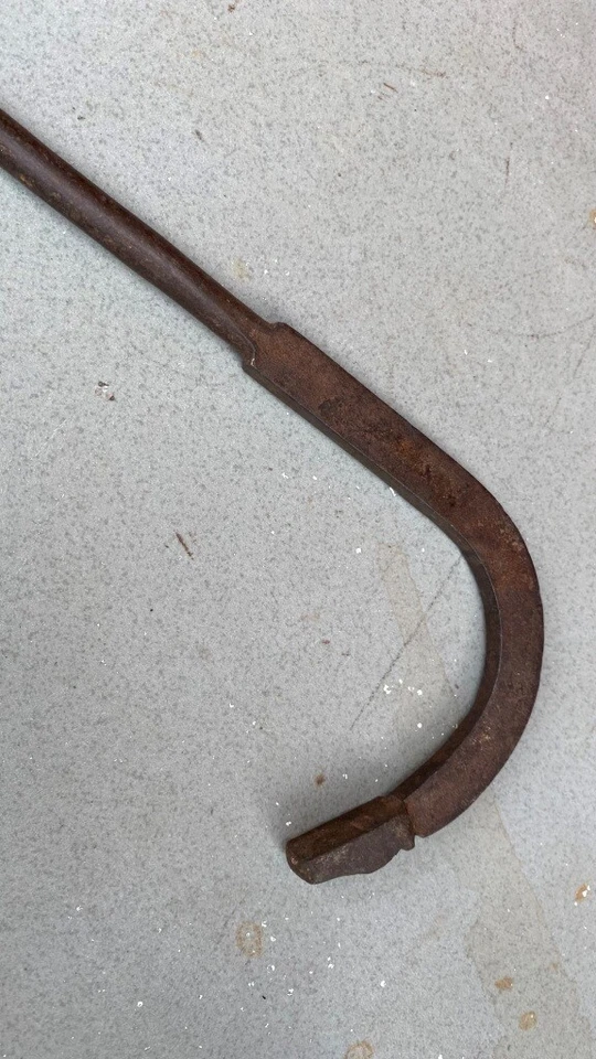 Antiguo bastón de sacerdote tallado a mano con cabeza de tigre de hierro forjado del siglo XIX Foto 2 de 4