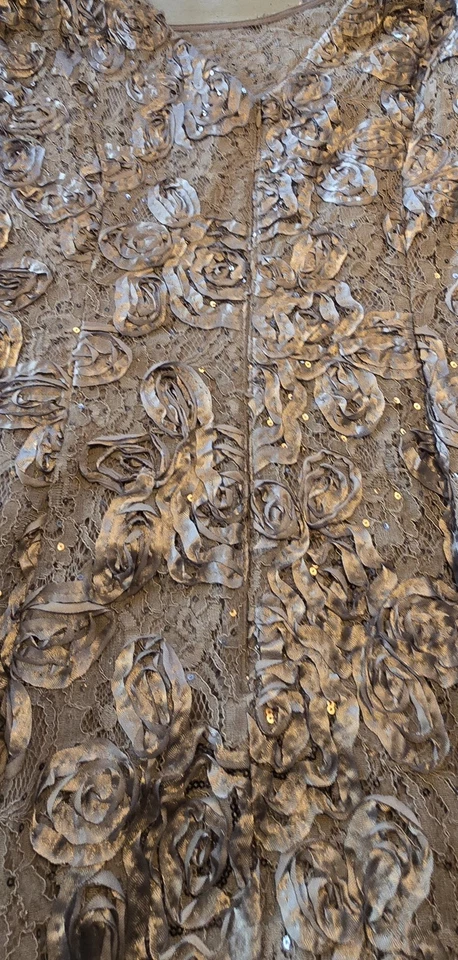 Alex вечера серебро, длинный, официальное платье, размер 14 короткий рукав, с подкладкой декольте - Изображение 4 из 4