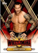 2019 WrestleMania Randy Orton WM-23