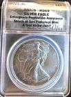 2021-S American Eagle ANACS MS-69 Emergency Rare Bullion-0.999 Silver 1 Oz Coin