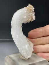 SS Rocks - Ramshorn Selenite "Gypsum" (Guangdong, China) 50g