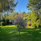 Bild 4 von 11