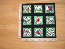 Winter Birds Cardinals Finch Berries (A)   Cotton Quilt Fabric Panel Blocks (9)