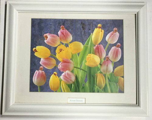 Anne Geddes Bath Tub Babies Picture Wood frame and glass 11x 9