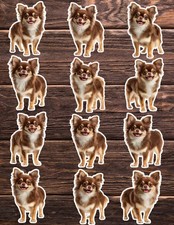 Brown Chihuahua Dog Die Cut Vinyl Stickers Set Notebook Laptop WaterBottle