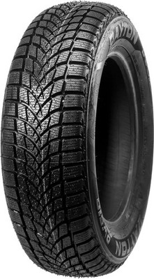 1x 205/55 R16 91H Dayton DW510 Evo  Winter Reifen Demontage DOT20