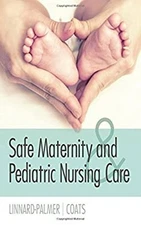 Safe Maternity and Pediatric Nursing Care Paperback