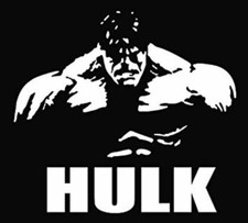 Incredible Hulk Die Cut Vinyl Decal Sticker 22 Incredible Hulk Die Cut Vinyl Decal Sticker 22