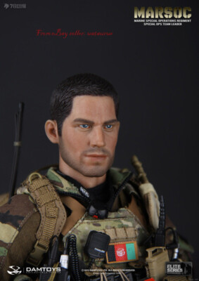 Perfect Damtoys 78006 1/6 Marsco Marine Special Operations