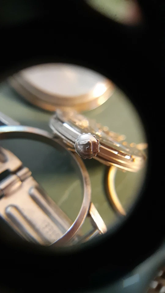 Roamer anfibio - Immagine 3 di 4