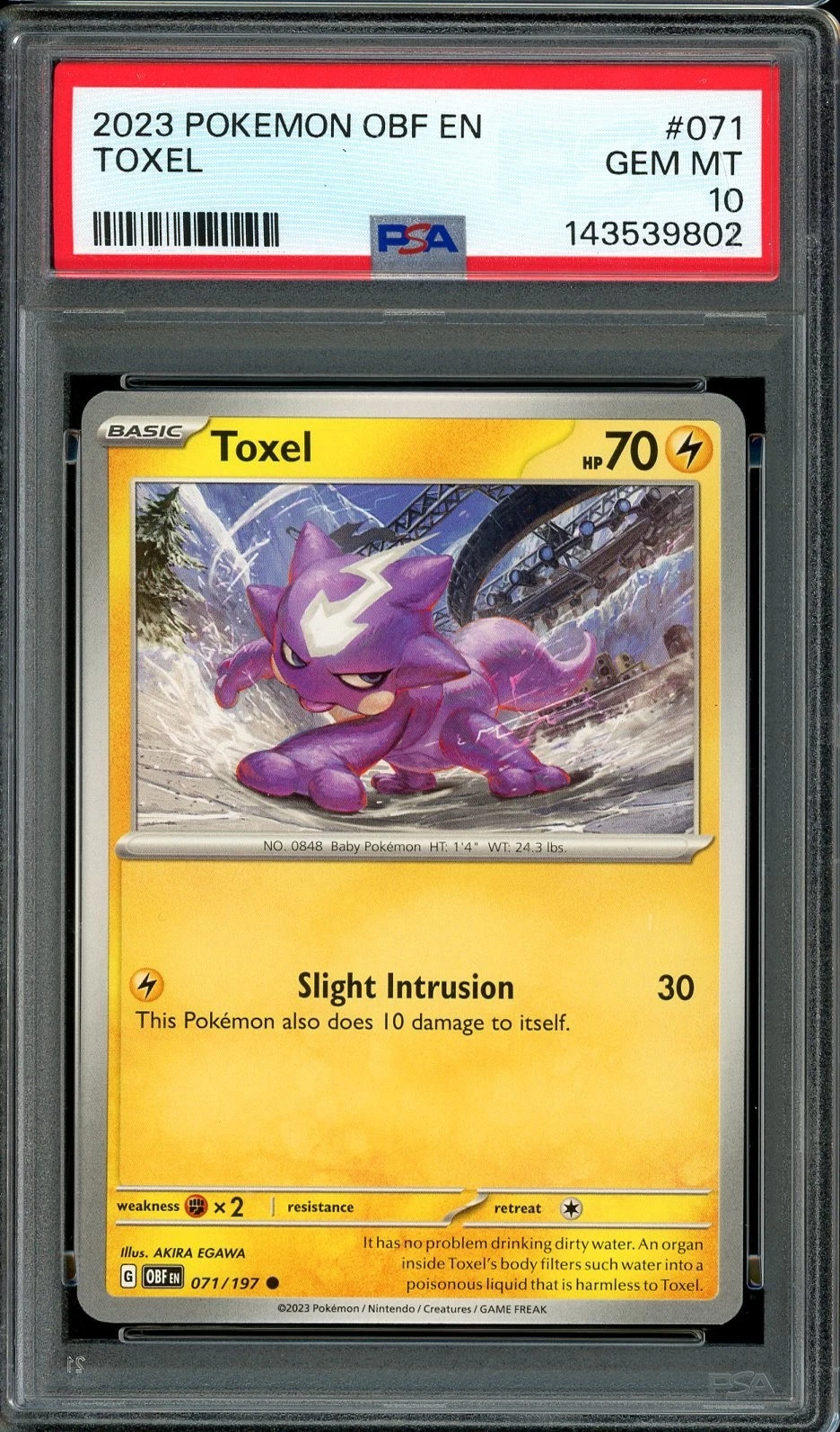 eBay