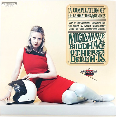 Microwave Buddha & Other Delights - VA - 2025 Vinyl LP - Electro Techno Comp.