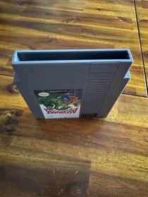 Astyanax Nintendo NES Cleaned/Tested