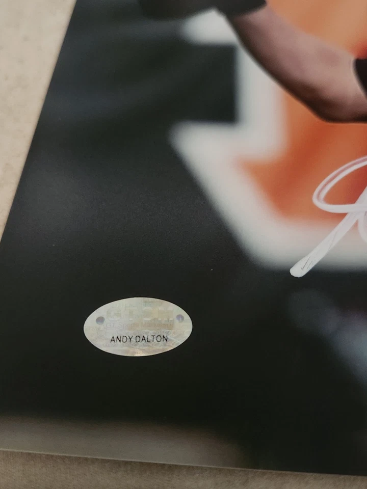 Andy Dalton Cincinnati Bengals autografado 8x10 com certificação - Imagem 2 de 2