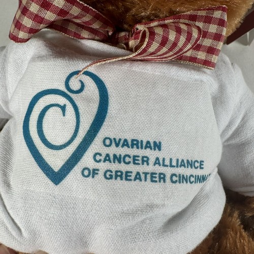 Ms Teddy Bear Plush Brown White Shirt Ovarian Cancer Alliance Cincinnati 9" - Picture 6 of 10