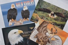 LOT (4) Bald Eagle Postcards (UNPOSTED)