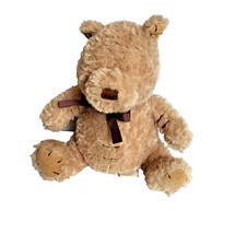Disney Classic Winnie The Pooh Bear Plush Stuffed Animal 9  Lovey Long Snout