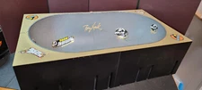RARE Tech Deck Tony Hawk Skatepark Lance Mountain and lot of 14 skateboards case