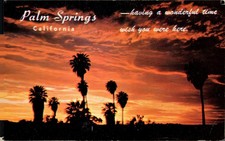 Desert Sunset with Palm Trees, c1950, Palm Springs, California, Chas. F. Adams