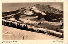 WW2 WWII German Germany Army Military Wehrmacht Postcard Jungholz in Tirol Alps