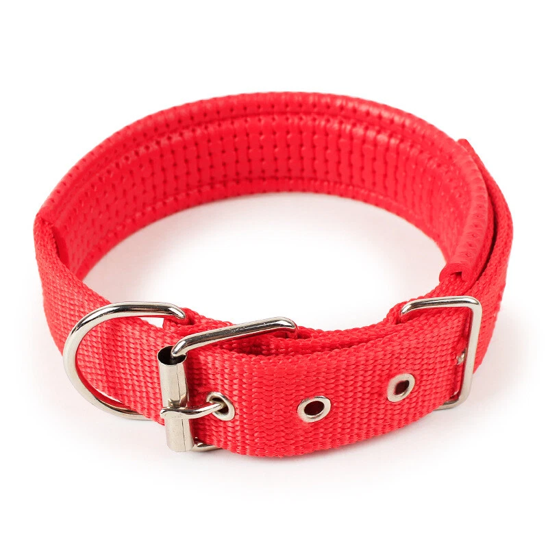 Nylon dog store collars uk