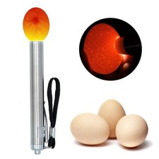 أخرى مستلزمات Egg Incubator