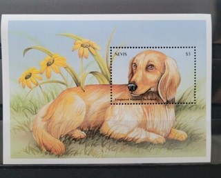 NEVIS 2000 BF 181 Chien Neuf sans charniere C8€ TH093