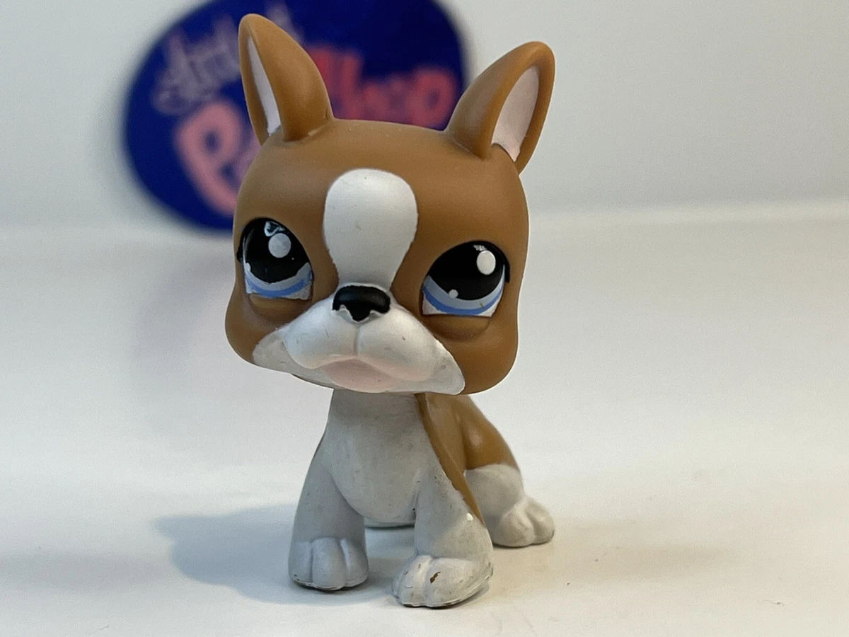 BOSTON DOG - Authentic Littlest Pet Shop - Hasbro LPS eBay